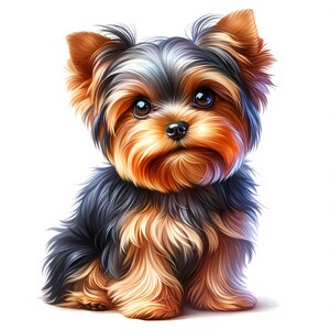 May include: A small Yorkshire Terrier dog with black, brown, and tan fur. The dog is sitting with its front paws tucked under its body and its head tilted slightly to the side. The dog has a sweet expression on its face.