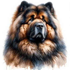 May include: A close-up portrait of a Chow Chow dog with a fluffy, reddish-brown coat and a black muzzle. The dog has a serious expression and its fur is highlighted with a watercolour effect.