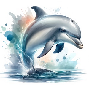Clipart de delfines - 10 JPG de alta calidad - Paquete de delfines juguetones - Descarga digital - Creación de tarjetas, arte mural, manualidades con papel, uso comercial