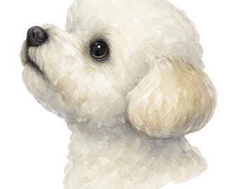 水彩画のビション・フリーゼのクリップアート：犬のアート PNG、10 枚