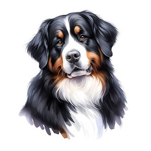 Berner Sennenhund - 10 hochwertige JPGs - Digital Download - Kartenherstellung, Clip Art, digitales Papiermodell, kommerzielle Lizenz