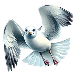 Clipart di gabbiani / 13 JPG di alta qualità / Elegante pacchetto di clipart di gabbiani / Arte di uccelli / Arte della vita marina / Stampabili / Uso commerciale