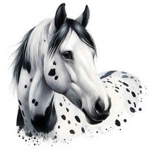 Clipart Appaloosa / 11 JPG di alta qualità / Elegante pacchetto di clipart Appaloosa / Decorazioni per fattoria / Arte di razza di cavalli / Materiali stampabili / Uso commerciale