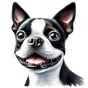Clipart Boston Terriër | 12 hoogwaardige JPG's | Schattige Boston Terrier-clipartbundel | Muurkunst | Hondenkunst | Afdrukbare items | Commercieel gebruik
