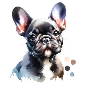 Französische Bulldogge Clipart - 10 hochwertige JPGs - Digital Download - Kartenherstellung, Clip Art, digitales Papiermodell, kommerzielle Lizenz