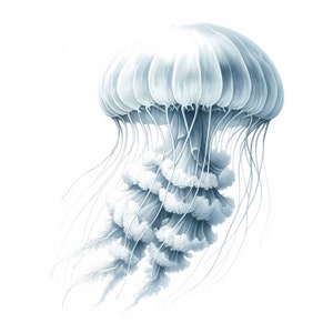 Jellyfish Clipart - 11 High-Quality JPGs - Colorful Jellyfish Clipart Bundle - Wall Art - Underwater Art - Paper Craft - Commercial Use