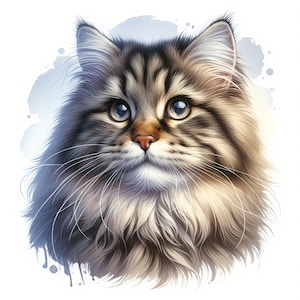 Clipart chat sibérien - 12 fichiers JPG de haute qualité - chats aquarelles, fabrication de cartes, clipart, créations numériques en papier, licence commerciale