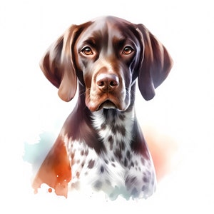 Clipart kortharige aanwijzerhond - 10 jpg's van hoge kwaliteit - digitale download - kaarten maken, illustraties, digitale papierkunst, commerciële licentie