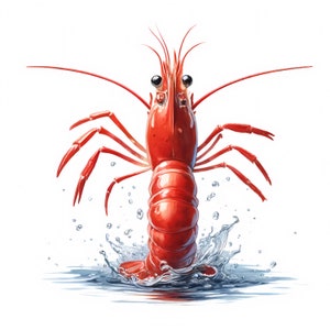 Shrimp Clipart: Seafood Art Prints, Coastal Decor (Digital Download, Commercial Use) 11 JPG image 3