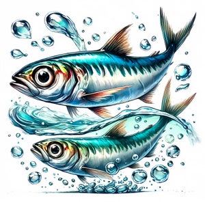 Anchovy Clipart | 11 High-quality Jpgs | Realistic Anchovy Clipart ...