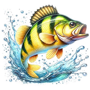 Żółty okoń ryba Clipart | 12 wysokiej jakości JPG | Żywy żółty okoń clipart | Sztuka słodkowodnych ryb | Materiały do druku | Wykorzystanie komercyjne