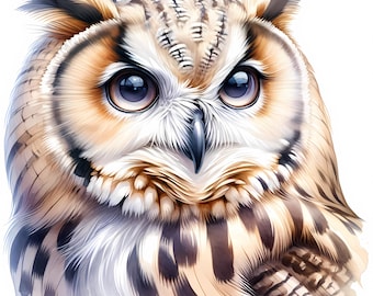 Whimsical Owl Clipart – JPG Images (Digital Download)