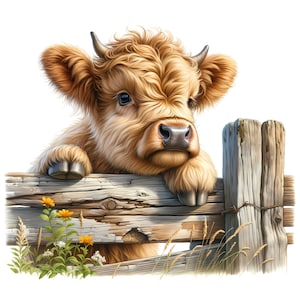 Clipart bébé vache Highland - 14 fichiers JPG de haute qualité - Bundle de cliparts vache Highland bébé mignon - art mural - art de la ferme - produits imprimables - usage Commercial
