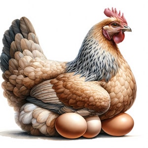 Clipart poule | 12 fichiers JPG de haute qualité | Lot de cliparts oiseaux de la ferme | Art mural | Téléchargement numérique | Créations en papier | Impressions numériques | Utilisation commerciale