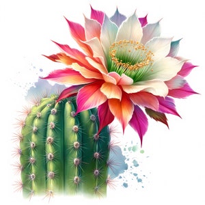 Clipart fleur de cactus | 12 fichiers JPG de haute qualité | Lot de cliparts | Art mural | Art floral du désert | Art botanique | Imprimables | Utilisation commerciale