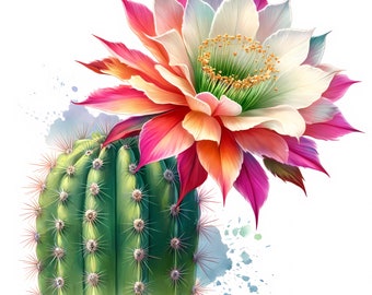 Cactus Flower Art Print | Desert Botanical Clipart (Digital Download) Set of 12 JPGs