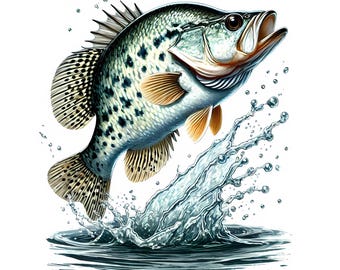 Crappie Fish Clipart | 12 High-Quality JPGs | Stunning Crappie Fish Clipart Bundle | Freshwater Fish Art | Printables | Commercial Use
