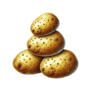 11 PNG, imágenes prediseñadas de papas, paquete de imágenes prediseñadas de papas frescas, vegetales, decoración de cocina, papas rústicas, arte culinario, imprimibles, uso comercial