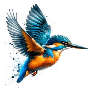 IJsvogel-clipart | 12 hoogwaardige JPG's | Kleurrijke ijsvogel-clipartbundel | Muurkunst | Vogelkunst | Papierkunst | Commercieel gebruik