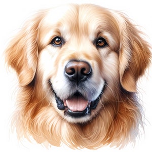 Golden Retriever-clipart - 10 hoogwaardige jpg's - Clipartbundel - Digitale download - Muurkunst - Kaarten maken - Papercrafts - Commercieel gebruik