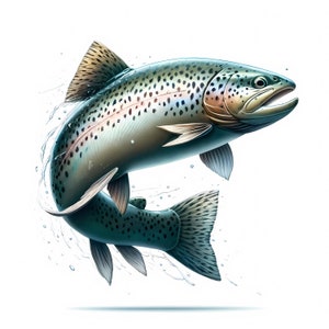 Imágenes prediseñadas de trucha / 11 archivos JPG de alta calidad / Paquete de imágenes de trucha / Arte mural de peces / Manualidades de papel / Impresiones digitales / Ropa / Uso comercial