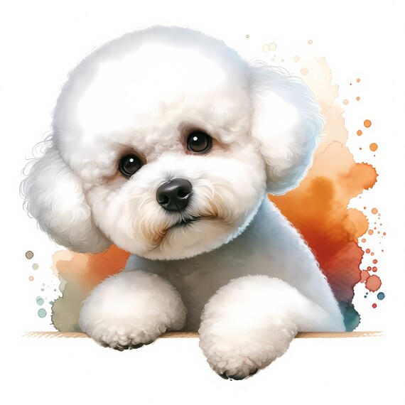 Bichon & Paws Umbrella Bichon & Paws Umbrella