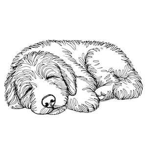 May include: A black and white line drawing of a sleeping puppy curled up on its side.