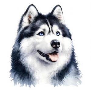 Clipart Husky | 12 fichiers JPG de haute qualité | Lot de cliparts Husky mignon | Art mural | Husky de Sibérie | Animaux de compagnie | Créations en papier | Utilisation commerciale