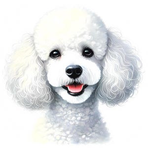 Weißer Pudel Clipart | 10 hochwertige JPGs | Weißer Pudel Clipart Bundle | Wandkunst | Hund Kunst | Drucksachen | Kommerzielle Nutzung