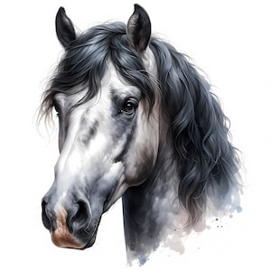 Pferd Clipart - 10 hochwertige JPGs - Aquarell Pferde, Kartenherstellung, Clip Art, Digitale Papiermodelle, Kommerzielle Lizenz