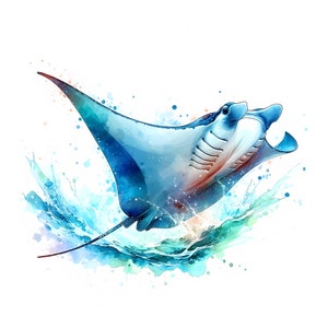 Pacote de clipart de arraia-manta - 12 JPGs de alta qualidade - Criatura marinha - Vida oceânica - Animal aquático - Artesanato em papel - Uso comercial