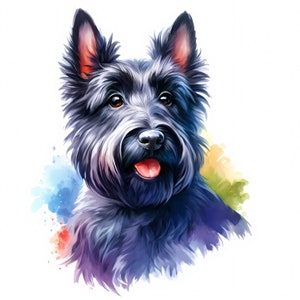 Clipart Terrier écossais | 10 fichiers JPG de haute qualité | Lot de cliparts adorable terrier écossais | Art mural | Créations en papier | Utilisation commerciale