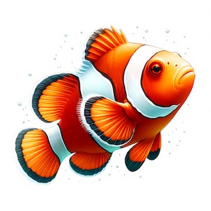 Clipart de pez payaso - 10 JPG de alta calidad - Paquete de imágenes de peces payaso adorables - Arte mural - Animal acuático - Manualidades de papel - Uso comercial