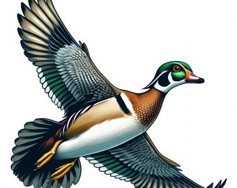 Holz Ente Clipart | JPG-Bilder (Digitaler Download