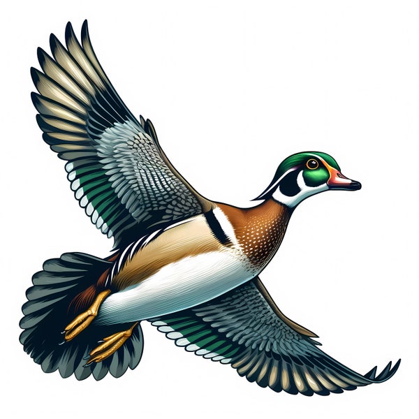 Wood Duck Clipart | 12 High-Quality JPGs | Duck Clipart Bundle | Wall Art | Apparel | Digital Prints | Paper Craft | Commercial Use