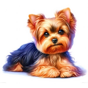 May include: A small, brown and black Yorkshire Terrier dog with long fur is lying down on a white background. The dog has a sweet expression on its face.