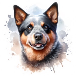 Pacote de clipart de cão de gado australiano - 11 JPGs de alta qualidade - Arte de parede - Cão de gado - Impressões digitais - Aquarela - Uso comercial