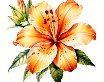 Hawaiian Flower Clipart: Tropical Floral JPG Bundle (Digital Download)