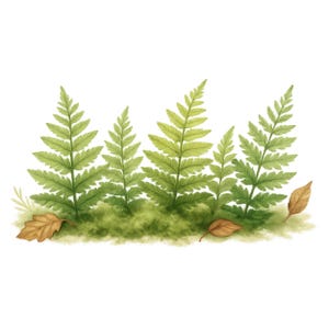 10 Clipart de feuilles de fougère forestière, beau lot de feuilles de fougère forestière, fougère Png, téléchargement numérique, créations en papier, journaux indésirables, Png de haute qualité