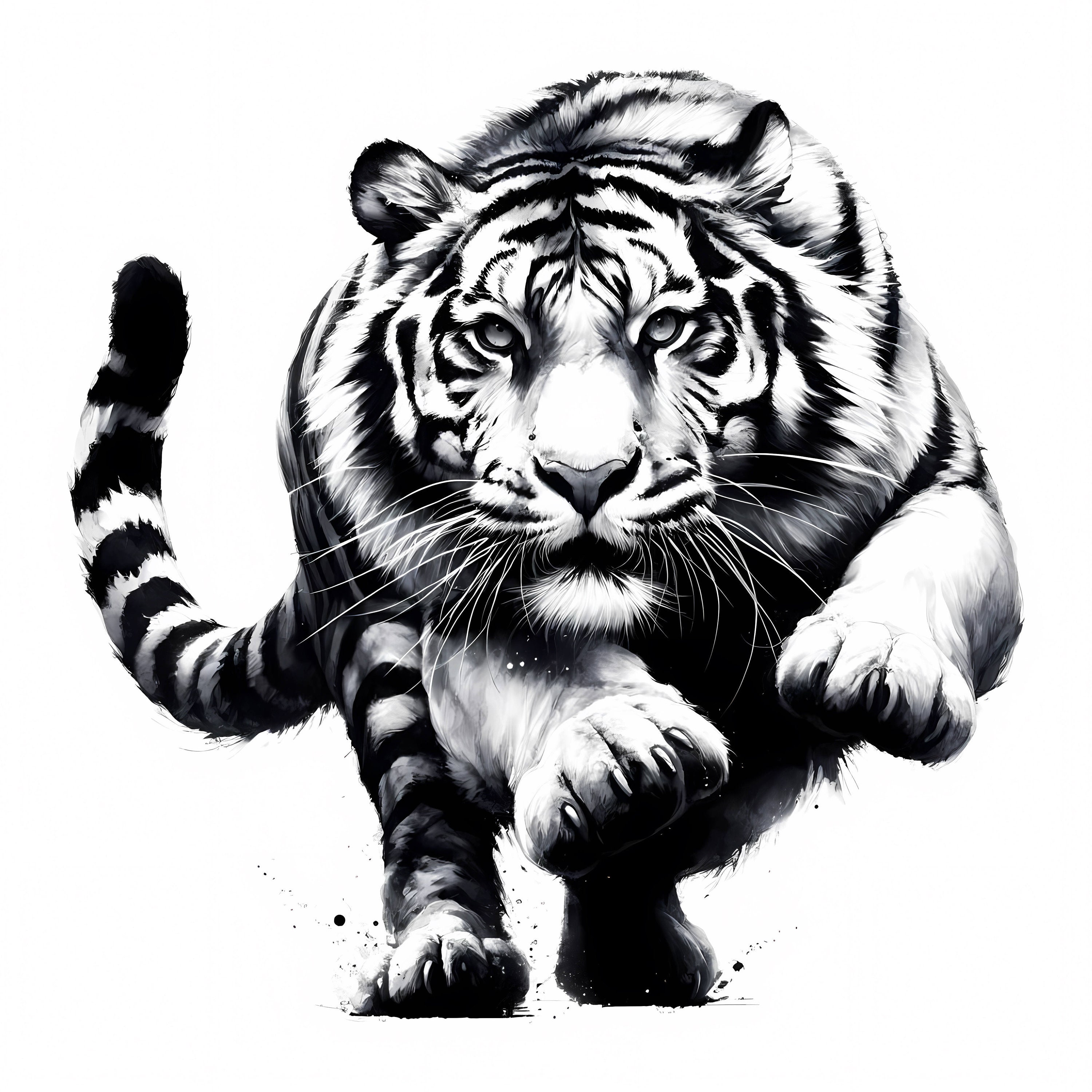 Tiger Clipart Black and White | 12 High-quality Jpgs | Line