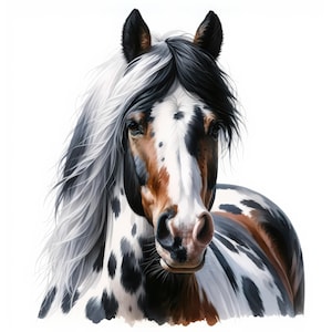 Pferd Clipart | 12 hochwertige JPGs |  Clipart-Bundle | Wandkunst | Pferdeliebhaber | Pferdekunst | Papiermodelle | Kommerzielle Nutzung