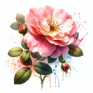Rosa Moyesii Blumen Clipart - 12 hochwertige JPGs - Digitaler Download - Kartenherstellung, Clip Art, digitales Papiermodell, kommerzielle Lizenz