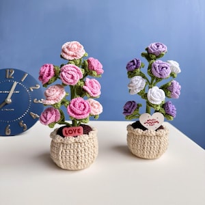 Puede incluir: Dos arreglos de rosas de ganchillo en macetas beige. Uno presenta rosas rosas, el otro moradas y blancas. Cada maceta tiene una etiqueta decorativa. Una dice "LOVE", la otra "HAPPY VALENTINE'S DAY".