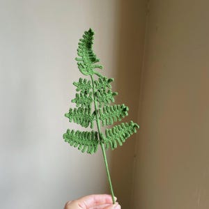 May include: A handmade, green crochet fern leaf. The fern has detailed, textured leaves and a long stem. The craftwork is displayed against a neutral background, highlighting the intricate details of the crocheted plant.