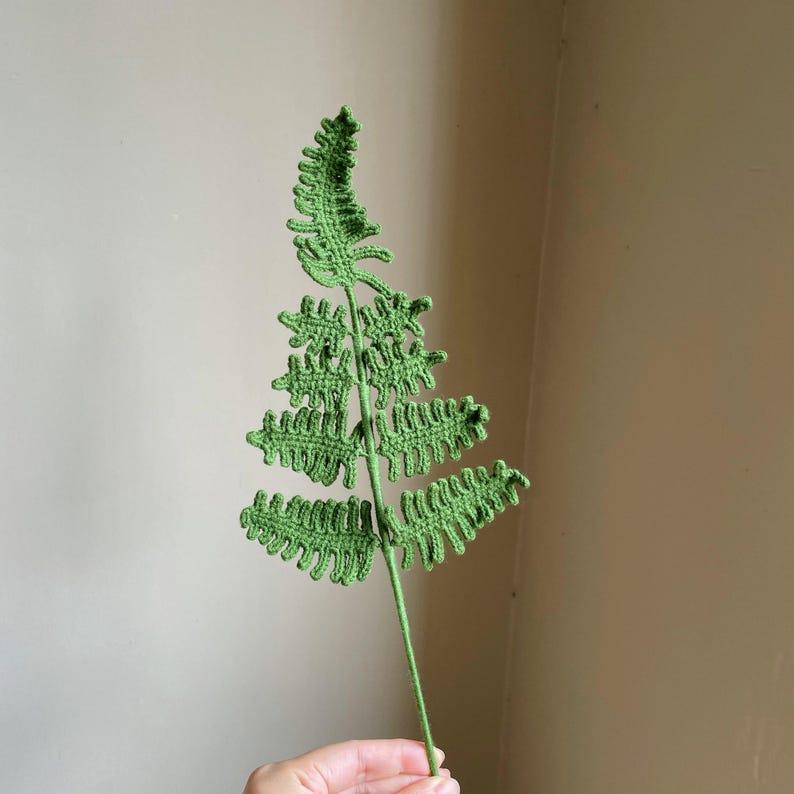 May include: A handmade, green crochet fern leaf. The fern has detailed, textured leaves and a long stem. The craftwork is displayed against a neutral background, highlighting the intricate details of the crocheted plant.