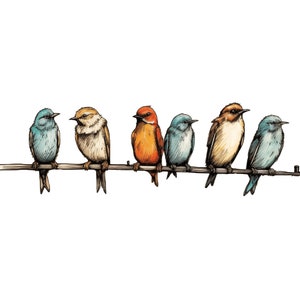 Pájaros, pájaros de dibujos animados, sentados en una línea eléctrica, pájaros en una línea eléctrica, imágenes prediseñadas de pájaros coloridos, imágenes prediseñadas