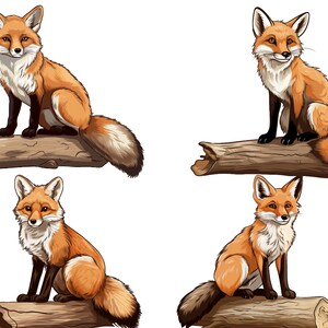 Clipart renard, animaux de la forêt, renard, png, créatures des bois, renard roux, animaux, bois, animal de la forêt