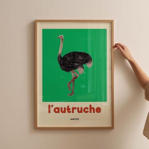 Strusia Ścienna Sztuka Francuska Ścienna Sztuka Dziecięca Plakat Cyfrowa Ścienna Sztuka Retro Ścienna Plakat Ptak Naucz Się Francuskiego ABC Dwujęzyczny Przedszkole