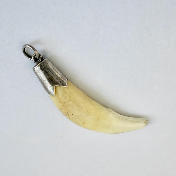 Viktoriansk vargtand i sterlingsilver med lycka till-berlock