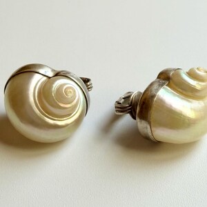 May include: Two iridescent seashell-shaped objects with silver metal accents. The shells have a spiral design and a pearlescent sheen. The objects are likely decorative or jewelry-related.